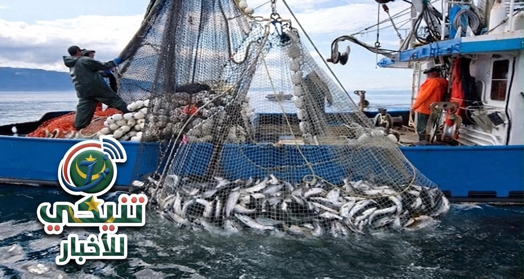 تراجع مخزون الأسماك يدفع آخر سفن الصيد الغاليسية بموريتانيا إلى البيع
