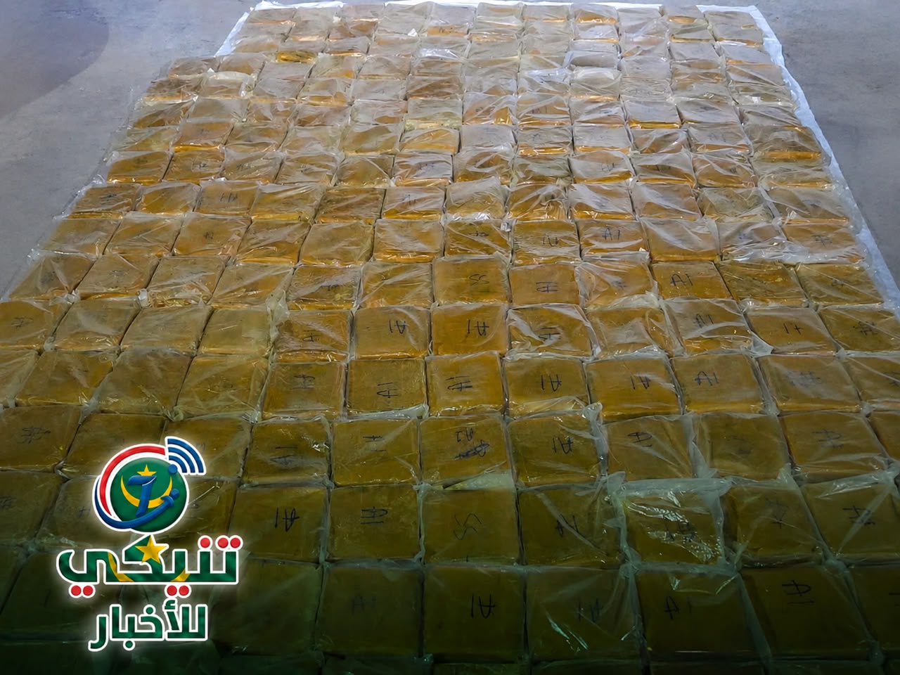 ضبط 202 كلغ من الحشيش داخل شحنات غذائية وتفكيك شبكة لتهريب المخدرات