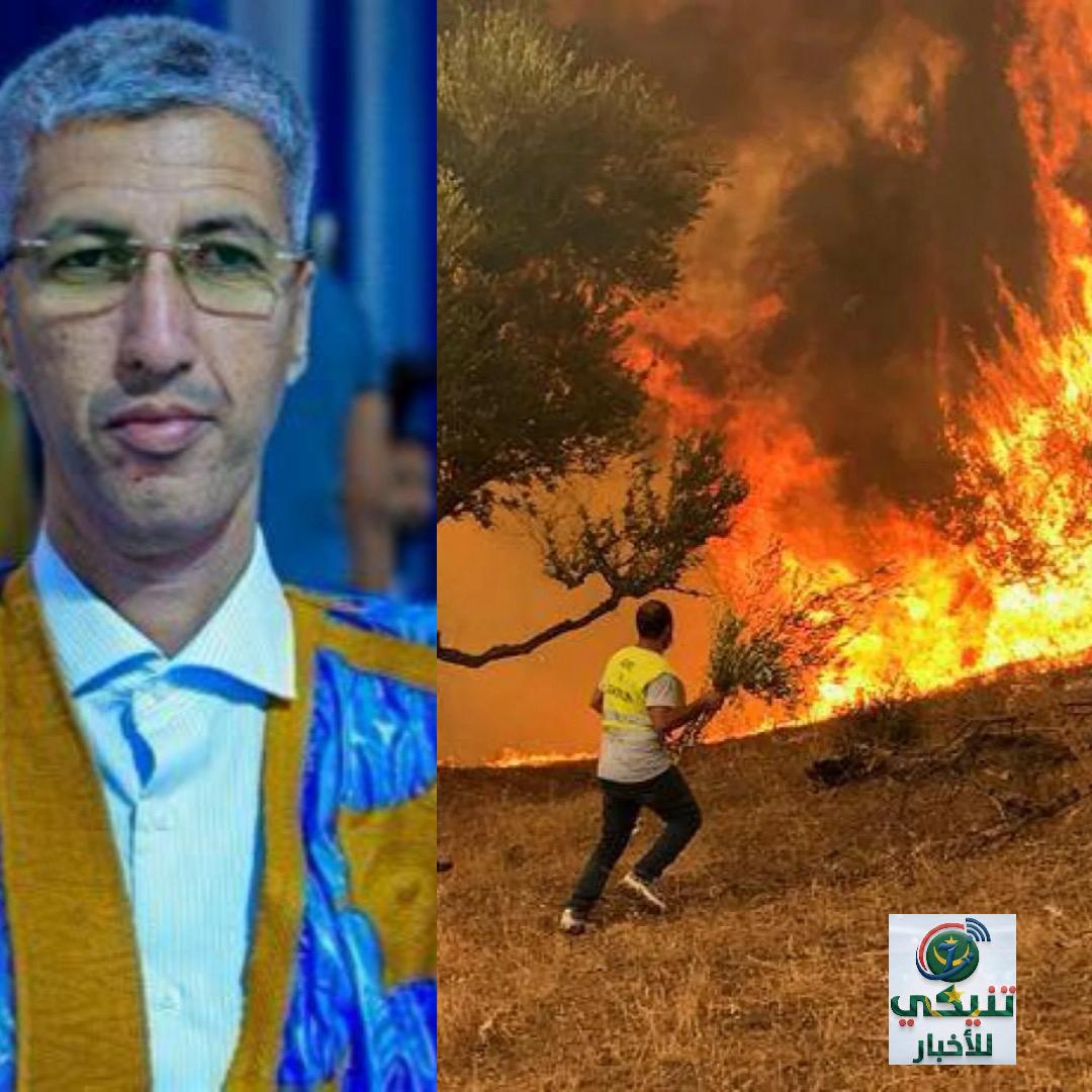 لجنة الصداقة الموريتانية الجزائرية تعلن تضامنها مع الجزائر إثر حرائق الغابات