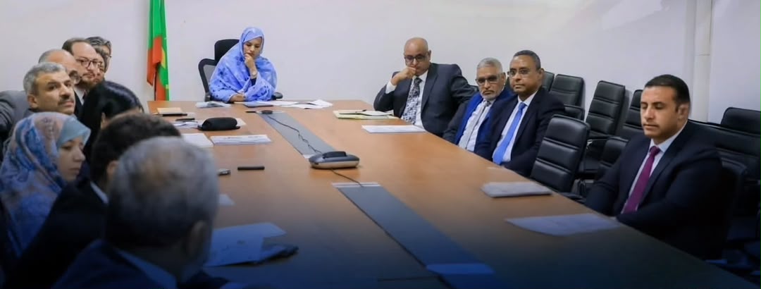 تويوتا اليابانية تسلّم موريتانيا دراسة محطة لتحلية مياه البحر بنواذيبو