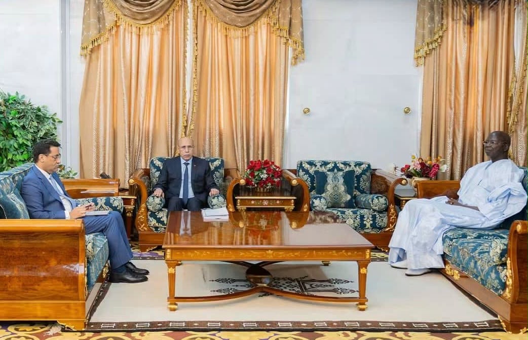 الغزواني يستقبل رئيس لجنة التحقيق في حريقي محطتي التحويل الكهربائي بنواكشوط