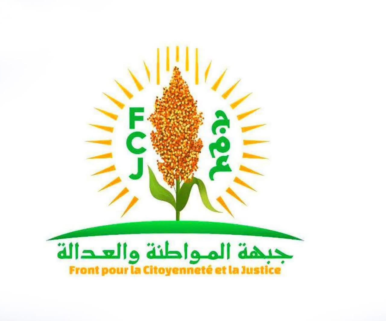 جبهة يدعو إلى ربط تشكيل الحكومة الجديدة بتوصيات تحقيق حرائق صوملك